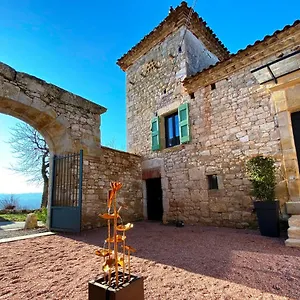 Domaine De Lejos - Portes D'albi Bed and breakfast Lamillarié